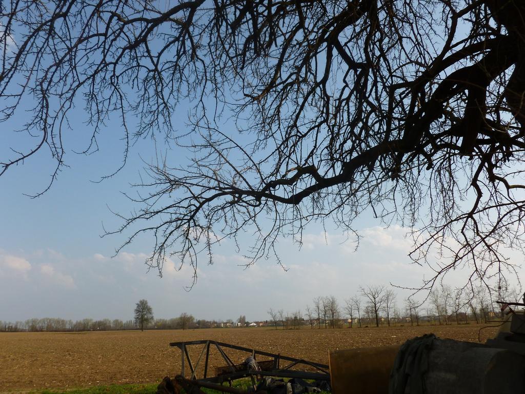 Casa di campagna Corte Rocca San Giorgio di Mantova